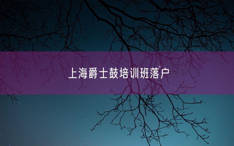 上海爵士鼓培训班落户