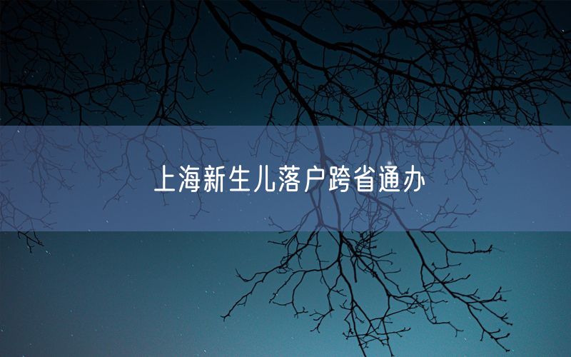 上海新生儿落户跨省通办