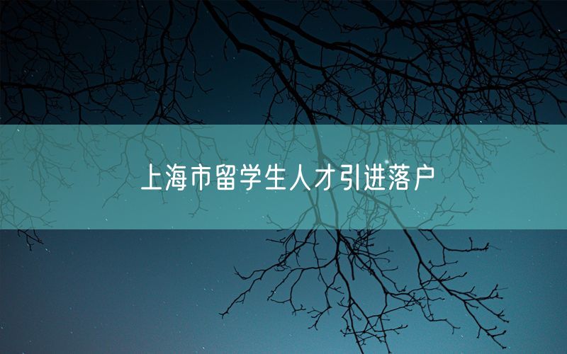 上海市留学生人才引进落户