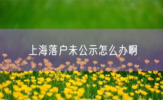 上海落户未公示怎么办啊