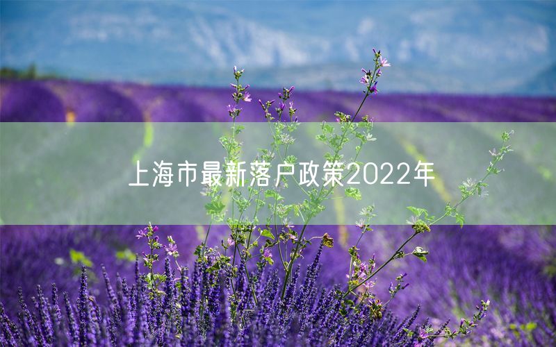 上海市最新落户政策2022年