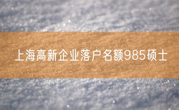 上海高新企业落户名额985硕士