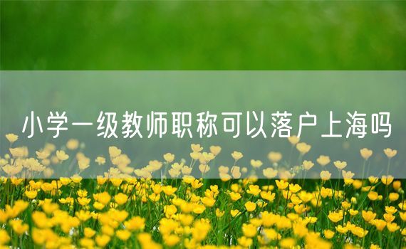 小学一级教师职称可以落户上海吗