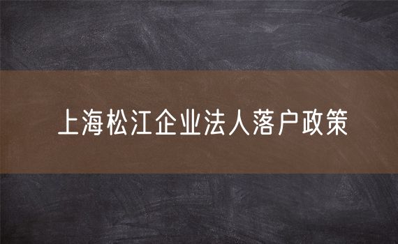 上海松江企业法人落户政策