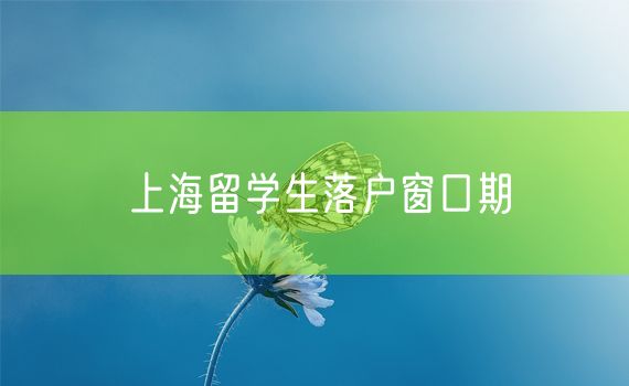 上海留学生落户窗口期