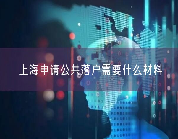 上海申请公共落户需要什么材料