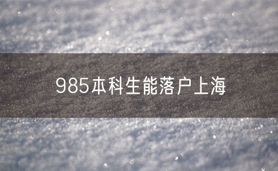 985本科生能落户上海