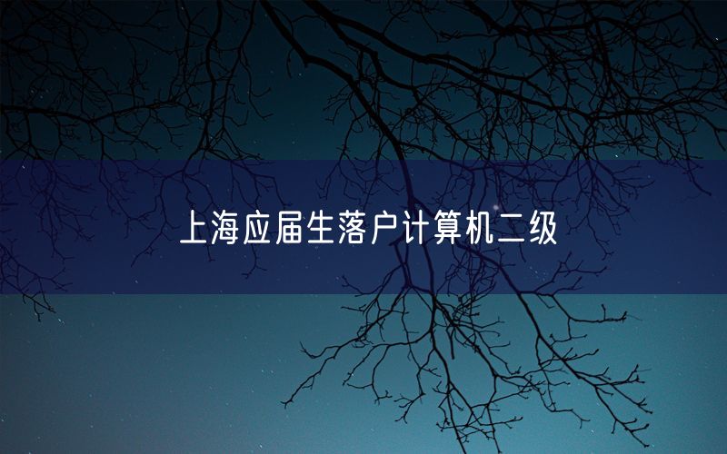 上海应届生落户计算机二级