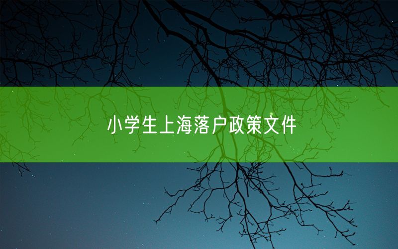 小学生上海落户政策文件