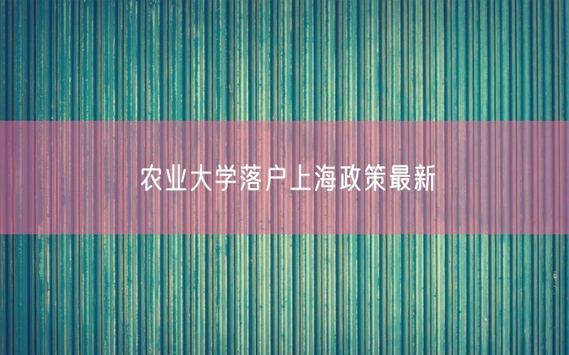 农业大学落户上海政策最新