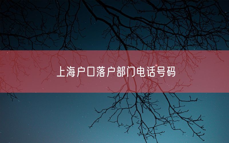 上海户口落户部门电话号码