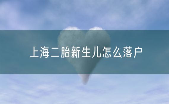 上海二胎新生儿怎么落户