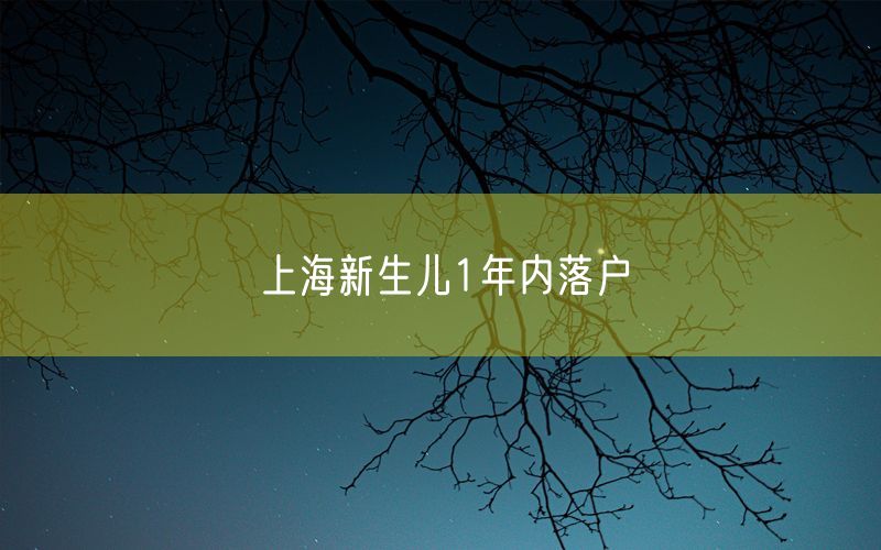 上海新生儿1年内落户