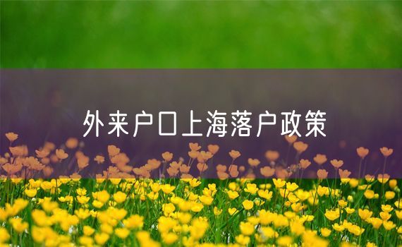 外来户口上海落户政策