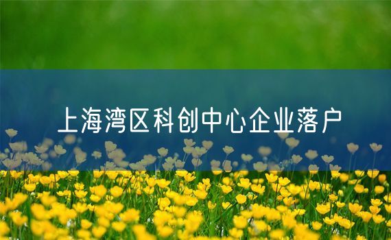 上海湾区科创中心企业落户