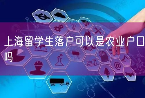 上海留学生落户可以是农业户口吗