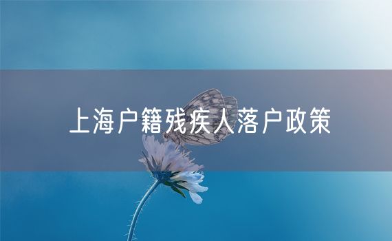 上海户籍残疾人落户政策