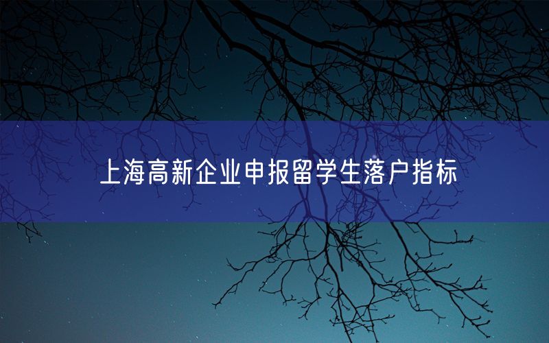 上海高新企业申报留学生落户指标