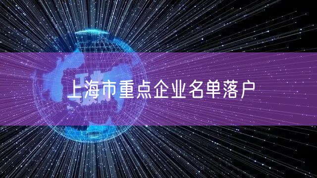 上海市重点企业名单落户