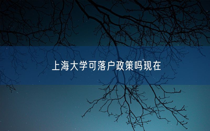 上海大学可落户政策吗现在