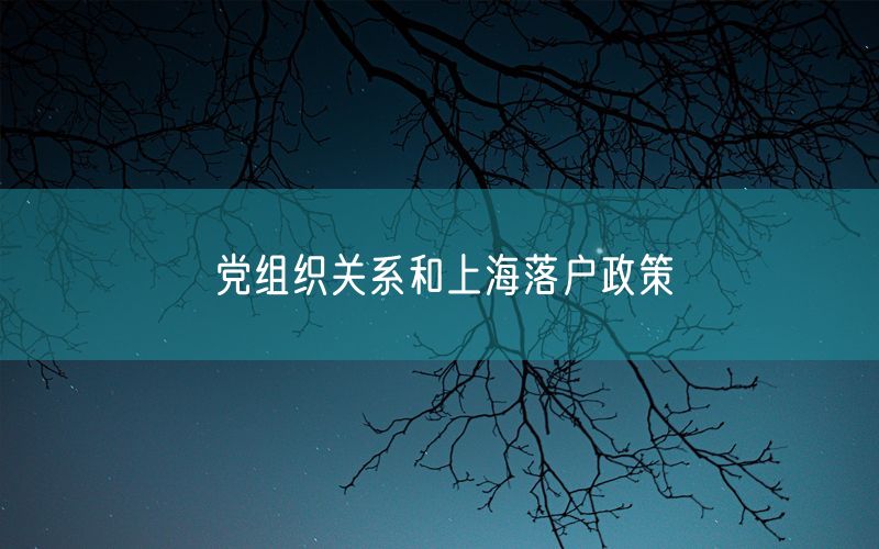 党组织关系和上海落户政策