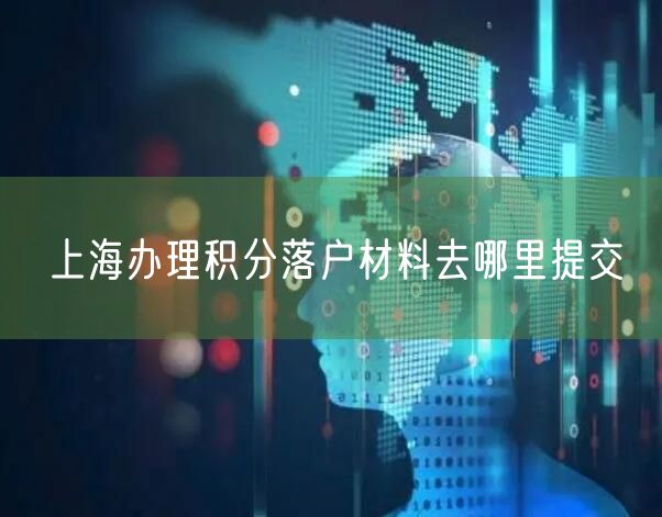 上海办理积分落户材料去哪里提交