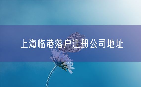 上海临港落户注册公司地址