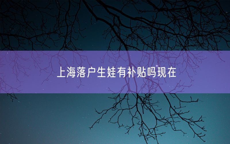 上海落户生娃有补贴吗现在