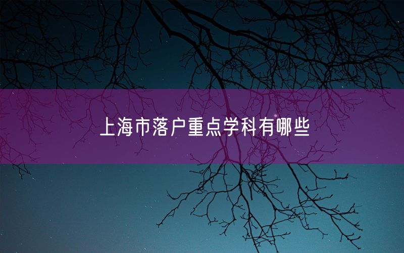 上海市落户重点学科有哪些