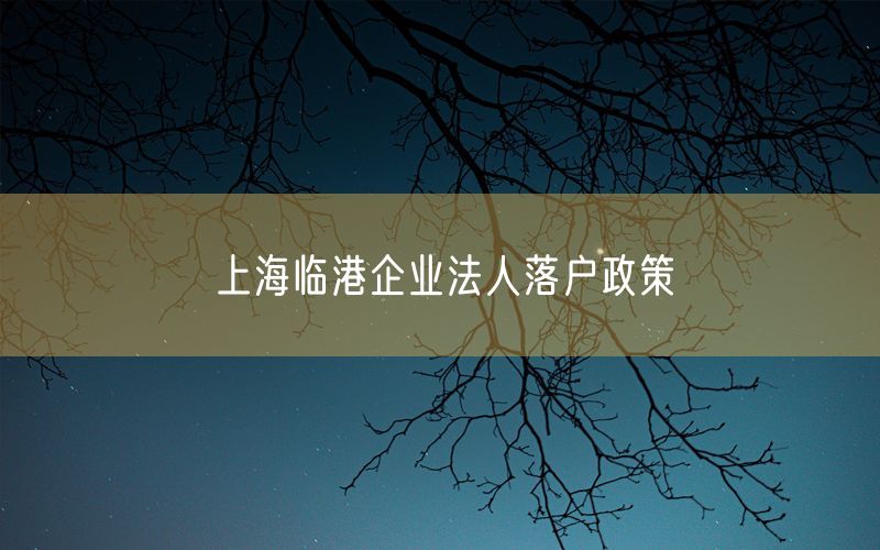 上海临港企业法人落户政策