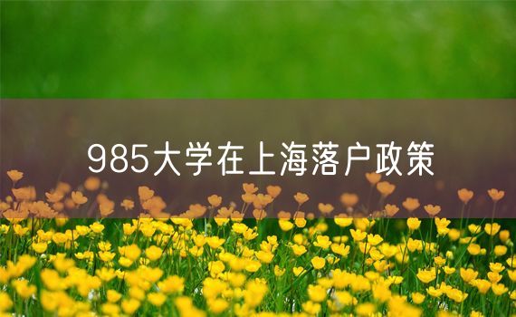 985大学在上海落户政策