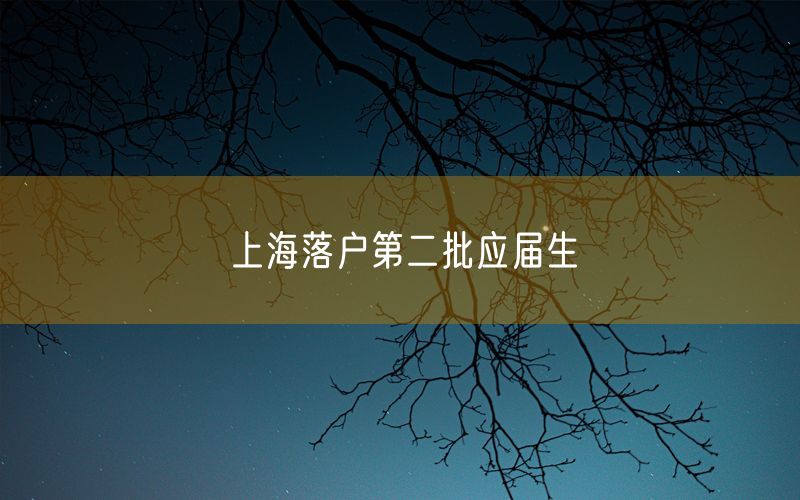 上海落户第二批应届生