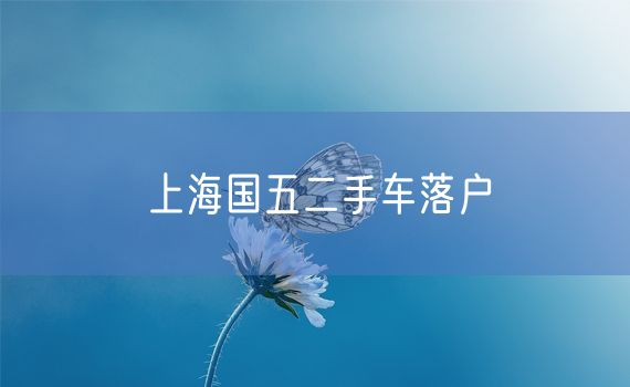 上海国五二手车落户