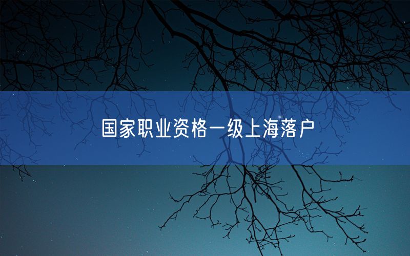 国家职业资格一级上海落户