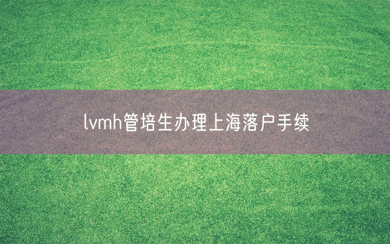 lvmh管培生办理上海落户手续