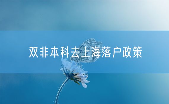 双非本科去上海落户政策