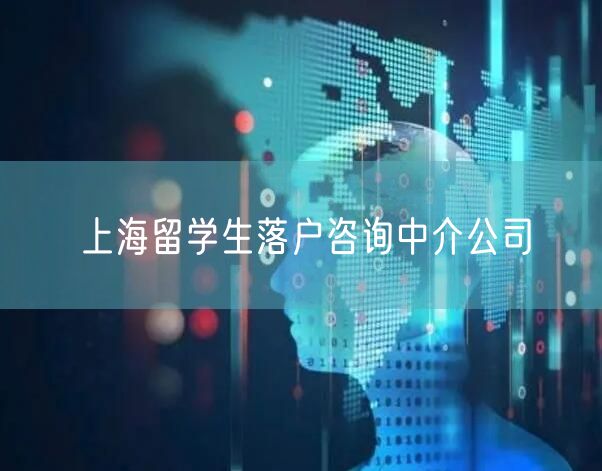 上海留学生落户咨询中介公司