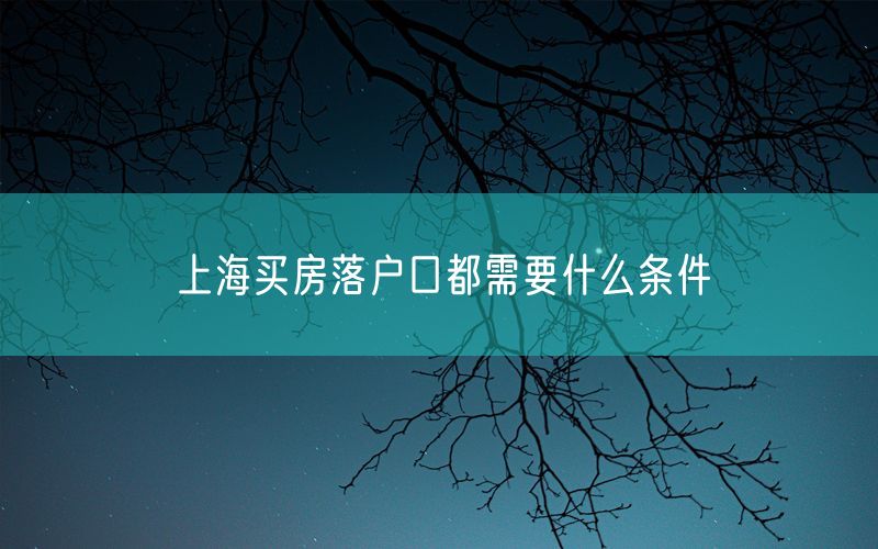 上海买房落户口都需要什么条件