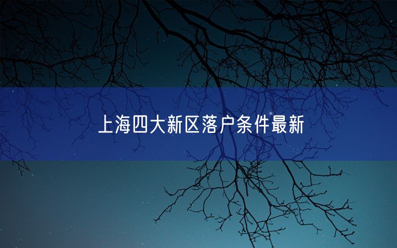 上海四大新区落户条件最新