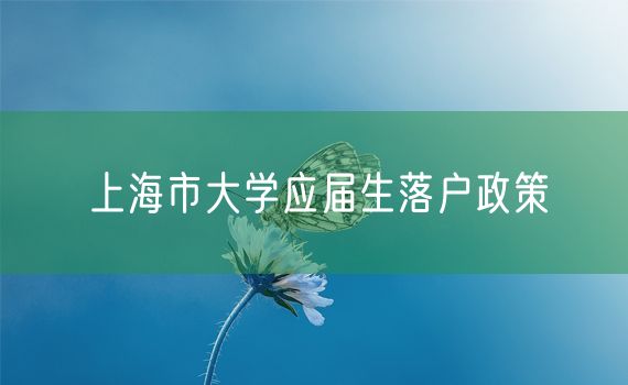 上海市大学应届生落户政策