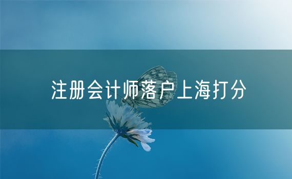 注册会计师落户上海打分