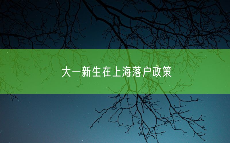 大一新生在上海落户政策