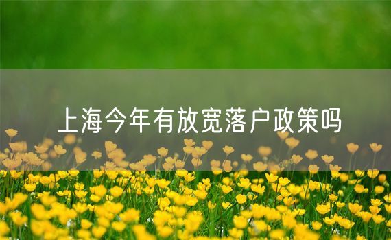 上海今年有放宽落户政策吗