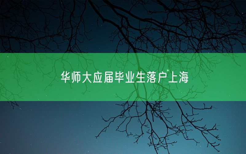 华师大应届毕业生落户上海