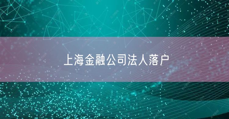 上海金融公司法人落户