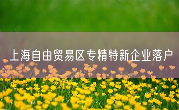 上海自由贸易区专精特新企业落户