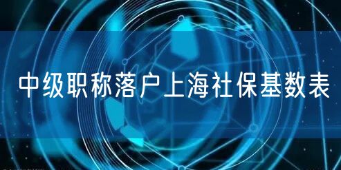 中级职称落户上海社保基数表