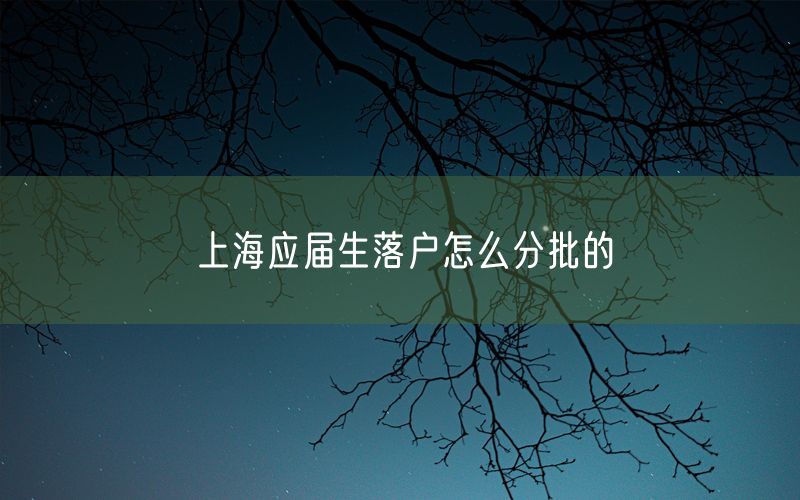 上海应届生落户怎么分批的