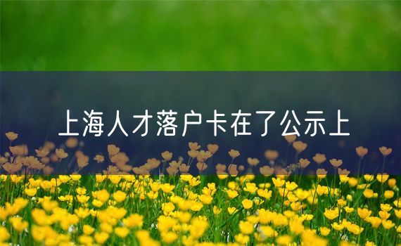 上海人才落户卡在了公示上