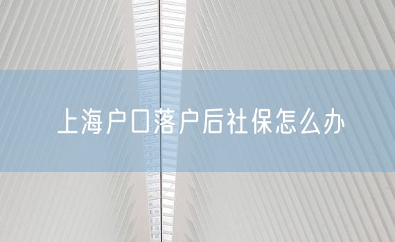 上海户口落户后社保怎么办